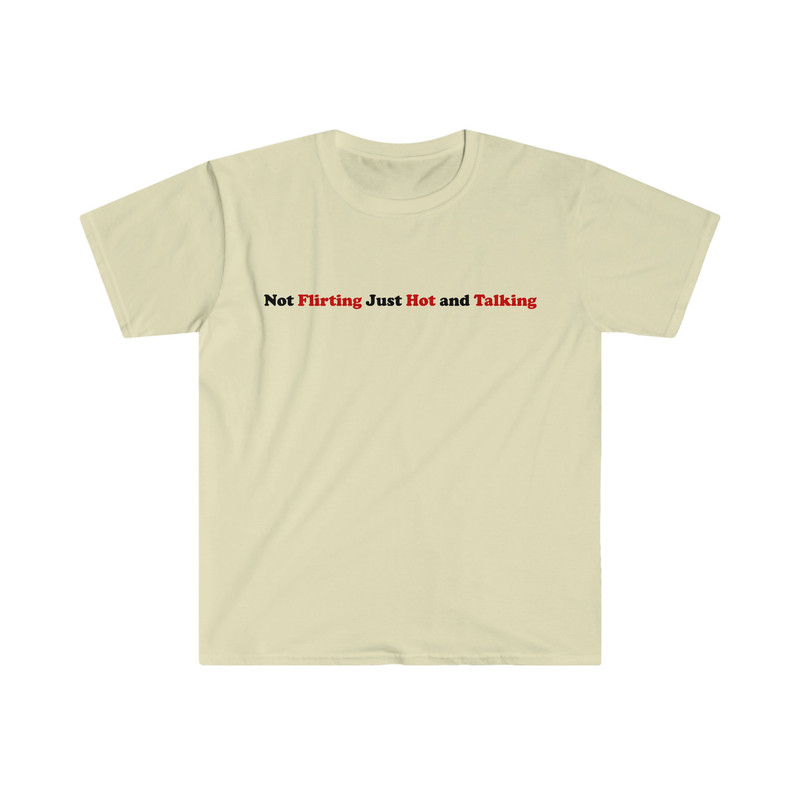 Not Flirting Just Hot and Talking Funny Sassy Y2K 2000's Inspired Meme Tee Shirt - 7.jpg