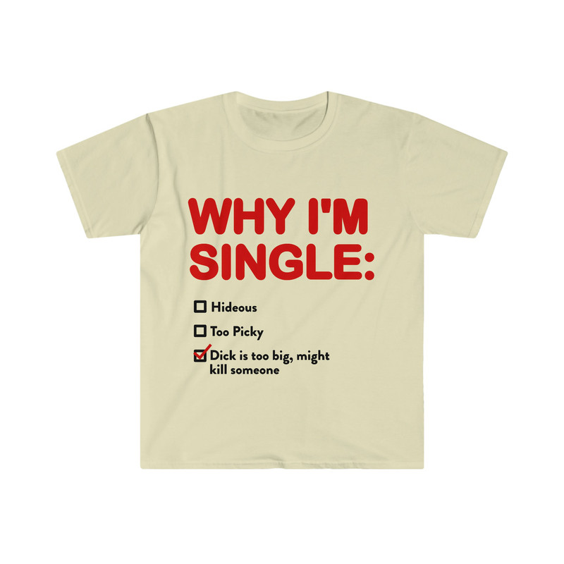 WHY I'M SINGLE Funny List Meme Tee Shirt - 8.jpg