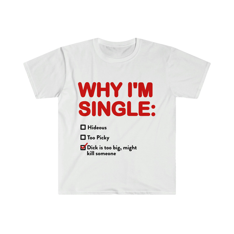 WHY I'M SINGLE Funny List Meme Tee Shirt - 9.jpg