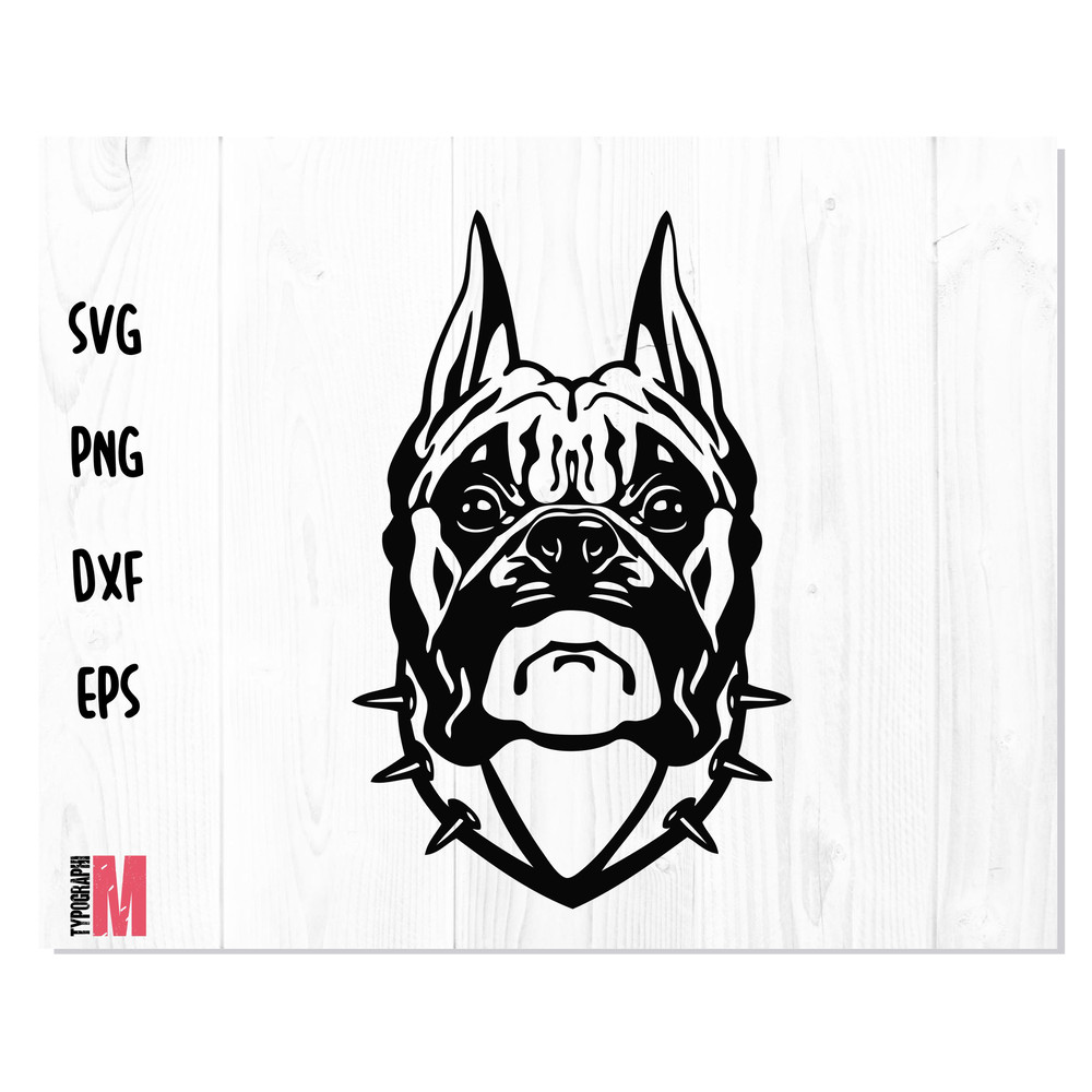 Boxer Dog Head 1.jpg