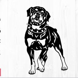 dog rottweiler svg stencil | stencil dog png svg dxf, rottweiler svg, stencil rottweiler dog vector, dog stencil svg