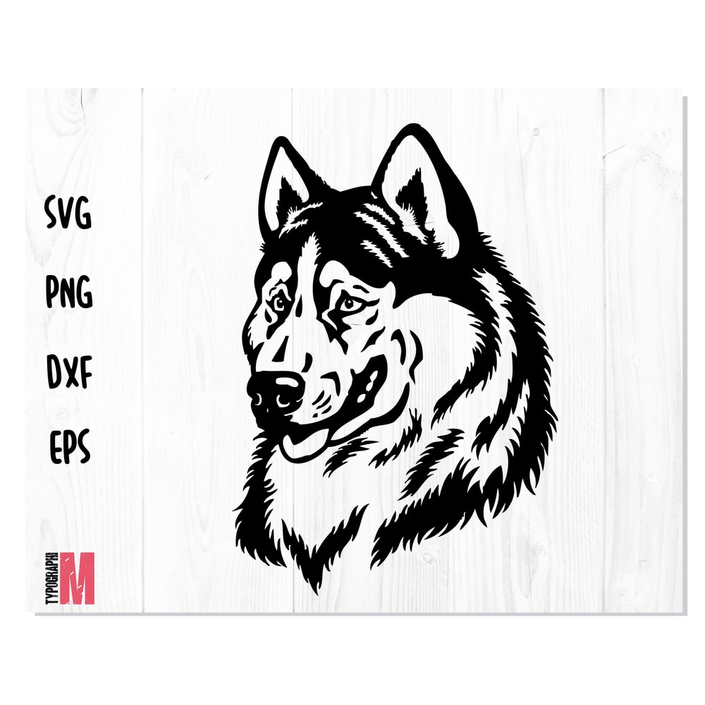 Dog West Siberian Laika Head 1.jpg