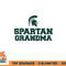 Michigan State MSU Spartans Spartan Grandma png, digital download copy.jpg