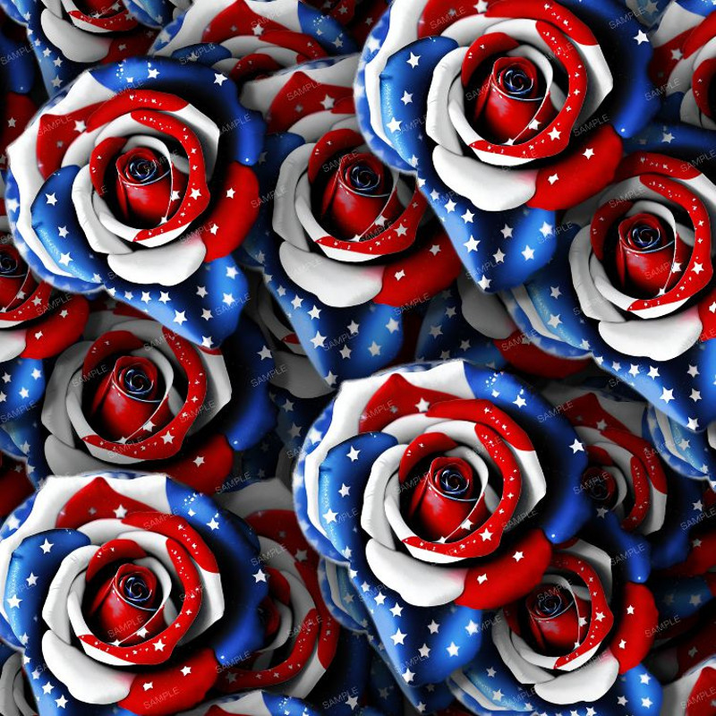 American Rose.jpg