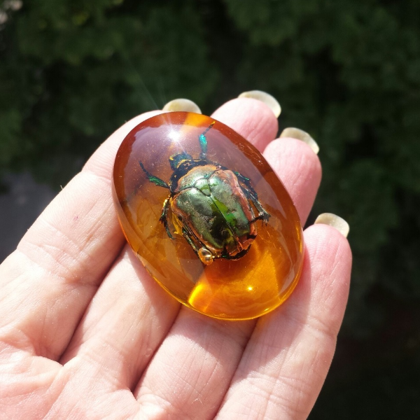 Real Scarab Beetle in Epoxy Resin Green bug insect taxidermy - Inspire ...