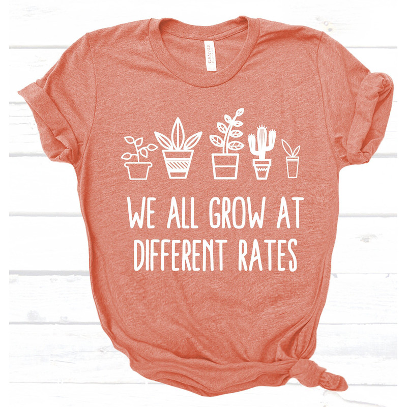 Teacher Shirt, We all Grow at Different Rate Teacher Gift,  School Teacher Shirt, Preschool Tee, Kindergarten Shirt Elementary Teacher Tee - 4.jpg