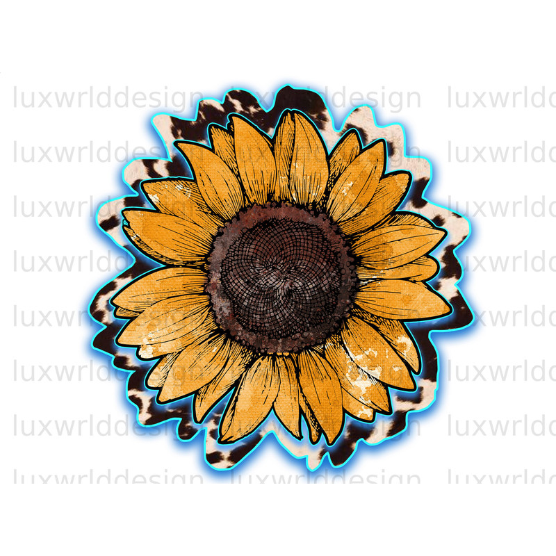 Cowhide Yellow Sunflower PNG Sunflower png Western Sunflower png Sublimation Design Digital Design Download Yellow Sunflower png - 1.jpg