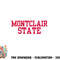Montclair State University Pullover Hoodie copy.jpg