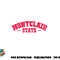 Montclair State University Vintage Apparel Gift Men Women png, digital download copy.jpg