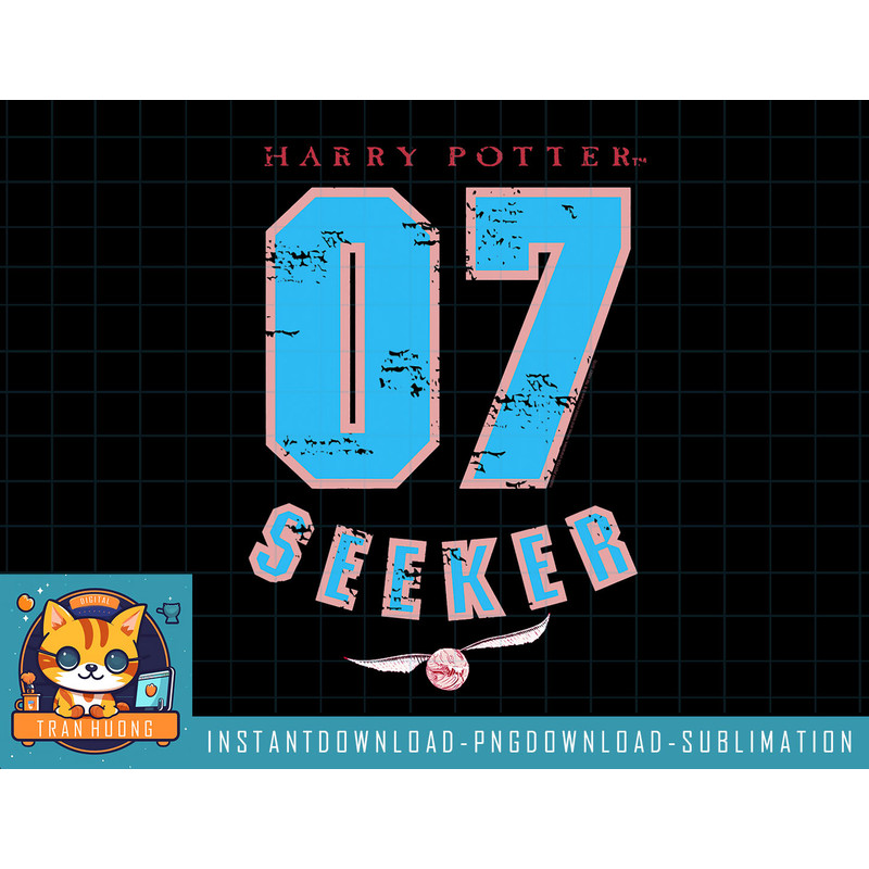 Harry Potter 07 Quidditch Seeker png, sublimate, digital download.jpg