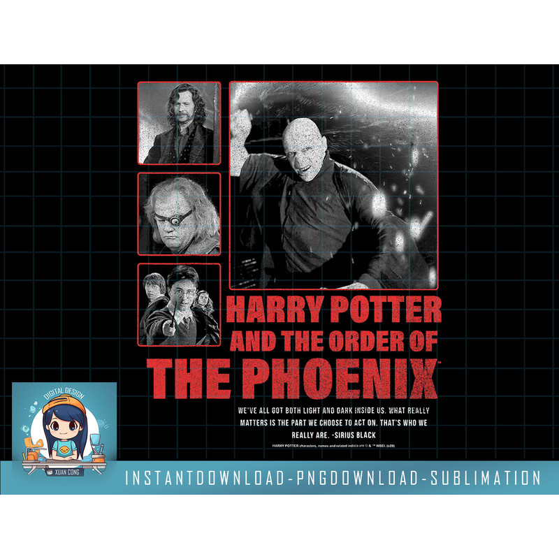 Harry Potter And The Order Of The Phoenix Panel Poster png, sublimate, digital download.jpg