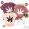 Cannabis TShirt, Marijuana Shirt, Weed T Shirt, Marijuana Leaf Tee, Smoking Weed Shirt, Smoke Joint Shirt, Funny Weed T Shirt, Weed T-Shirt - 7.jpg