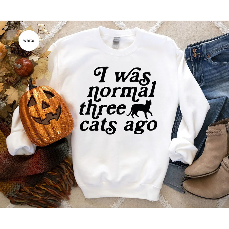 Cat Mom Hoodie, Funny Gifts for Cat Mom, Cat Sweatshirt, Cat Long Sleeve Shirt, Cat Dad Crewneck Sweatshirt, Funny Cat Owner Shirts - 4.jpg