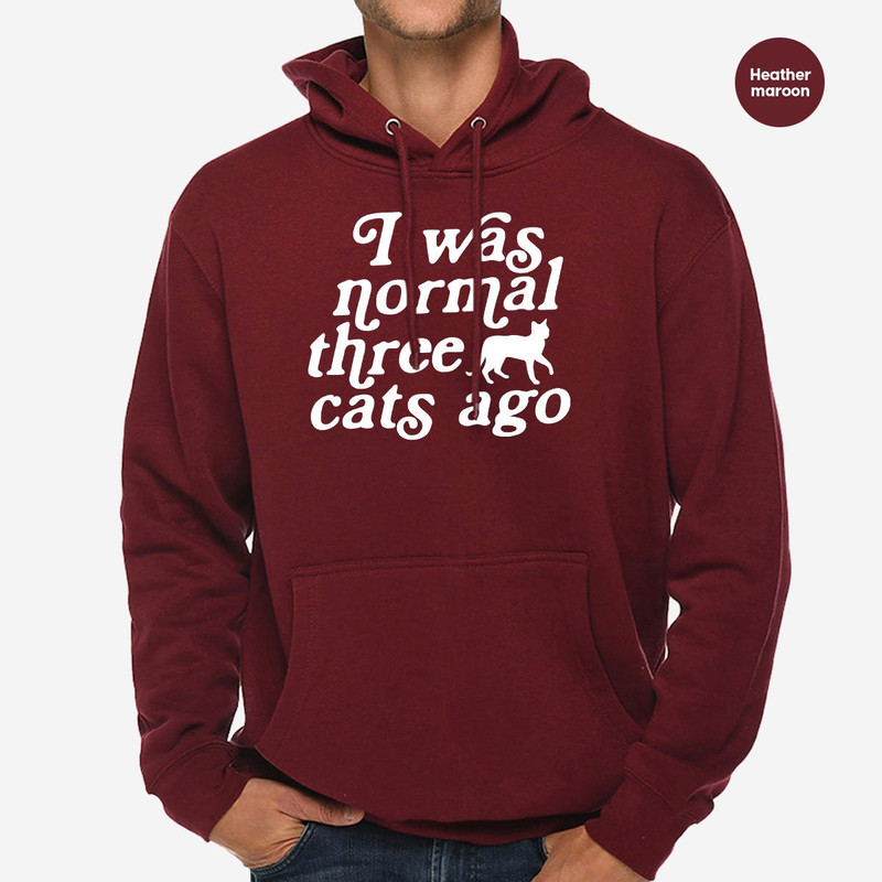 Cat Mom Hoodie, Funny Gifts for Cat Mom, Cat Sweatshirt, Cat Long Sleeve Shirt, Cat Dad Crewneck Sweatshirt, Funny Cat Owner Shirts - 5.jpg