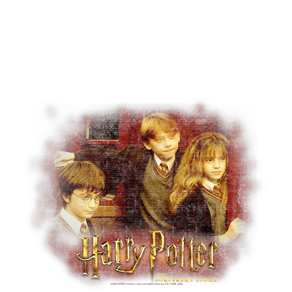 Harry Potter And The Sorcerer s Stone Group Shot Distressed T-Shirt.pngHarry Potter And The Sorcerer s Stone Group Shot Distressed T-Shirt.png