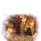 Harry Potter And The Sorcerer s Stone Group Shot Distressed T-Shirt.pngHarry Potter And The Sorcerer s Stone Group Shot Distressed T-Shirt.png