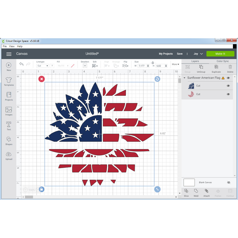 Sunflower American Flag 3.png