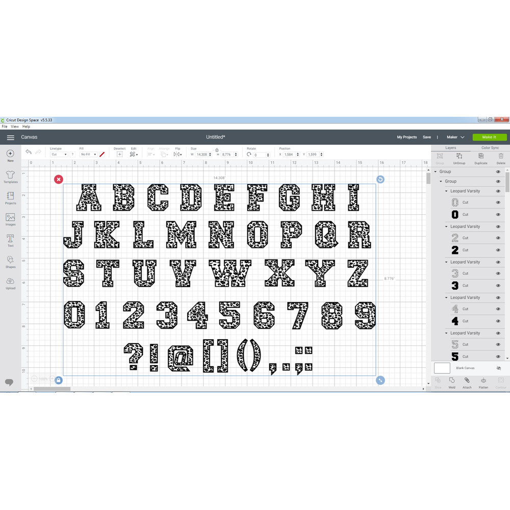 Leopard Font 6.jpg