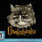 Harry Potter Crookshanks png, sublimate, digital download.jpg