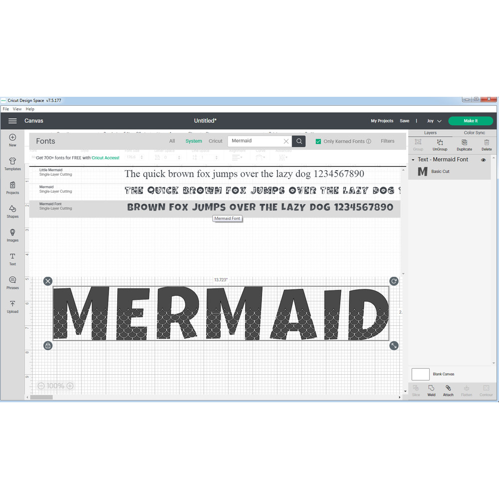 Mermaid Font 6.png