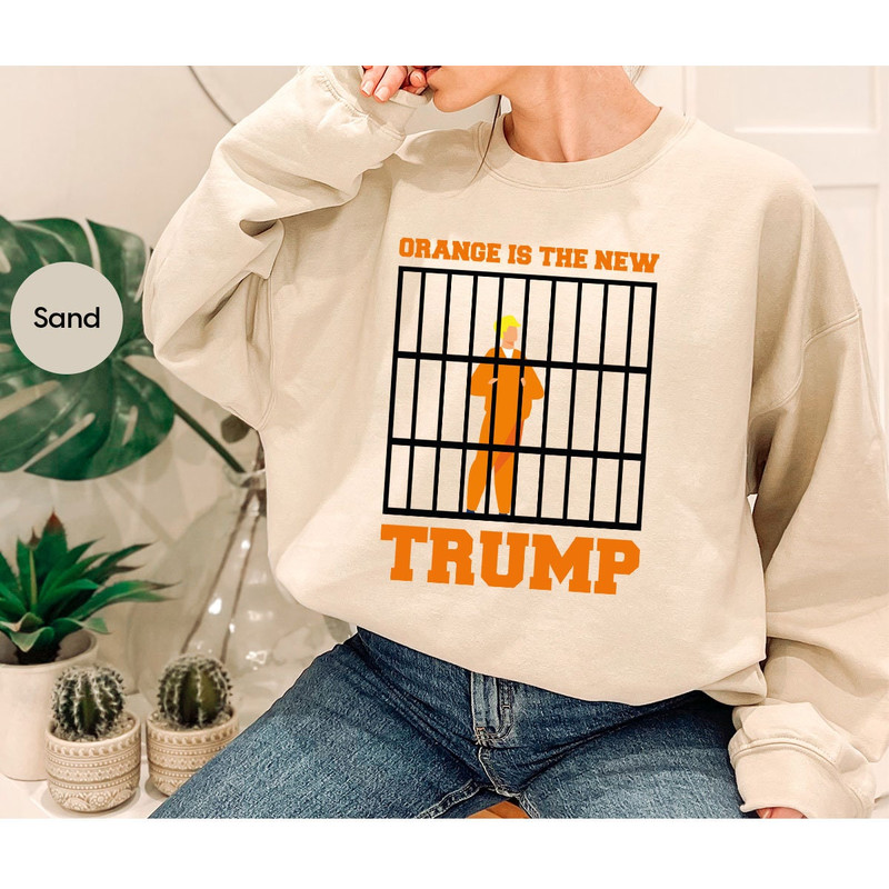 Funny Trump TShirt, Anti Trump Outfit, Political Humor Tee, Trump in Jail Shirt, Trump Court Shirt, Anti Trump Gift, Orange is The New Trump - 6.jpg