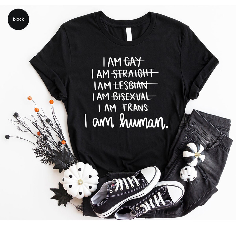 LGBT Shirt, Equality Vneck Shirt, Gay Shirt, Pride Shirt, Human Rights Graphic Tees, Lesbian T-Shirt, Trans Shirt, Gay Pride Tee, LGBTQ Gift - 6.jpg