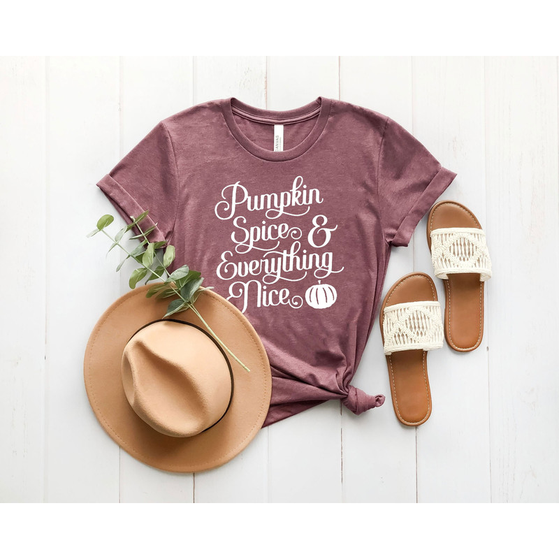 Pumpkin Spice Everything Nice Shirt, Pumpkin Spice Shirt, Fall Gift Shirt, Autumn Shirt, Fall Graphic Tee - 2.jpg