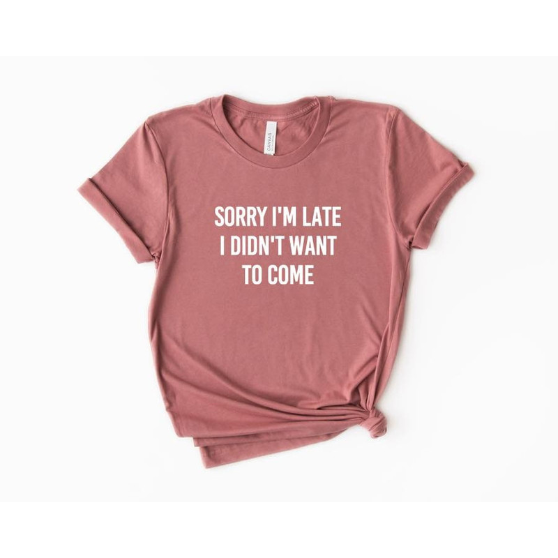 Sorry I'm Late I Didn't Want to Come Shirt, Sorry Not Sorry, Funny Shirt, Gift for Friend, Introvert Shirt, Gift for Sister, Tumblr - 1.jpg