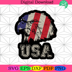 usa bald eagle head svg, independence day svg, 4th of july svg4th of july america svg, happy 4th of july svg, firework s