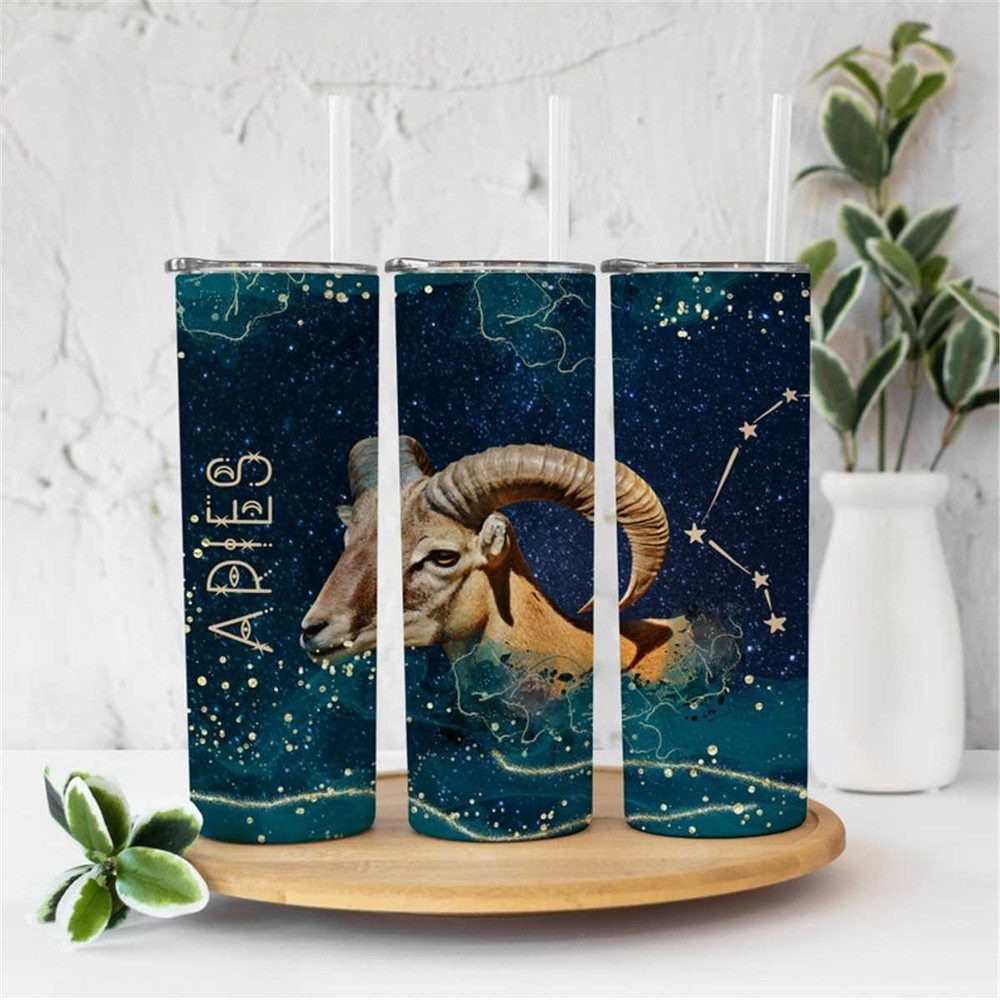 MR-15620231530-celestial-zodiac-tumbler-glitter-20-oz-skinny-tumbler-image-1.jpg
