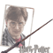 Harry Potter Harry s Wand Portrait T-Shirt.pngHarry Potter Harry s Wand Portrait T-Shirt.png