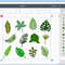 Jungle Leaves Tropica 02.png