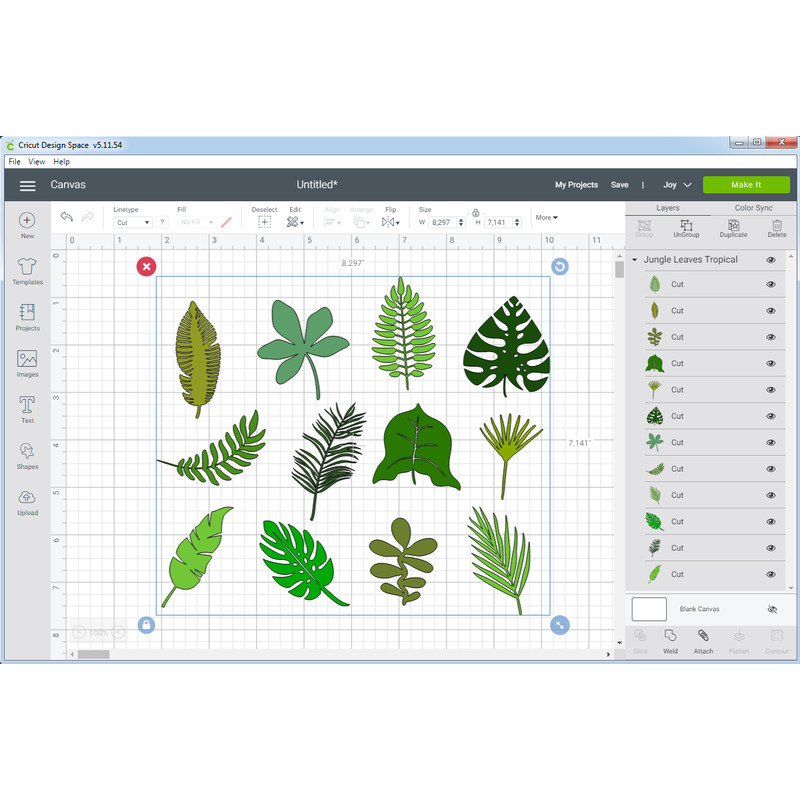 Jungle Leaves Tropica 02.png
