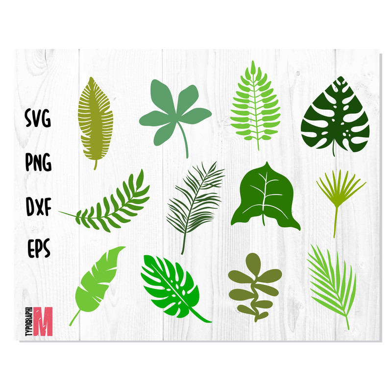 Jungle Leaves Tropica 1.jpg