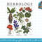 Harry Potter Herbology Plants png, sublimate, digital download.jpg