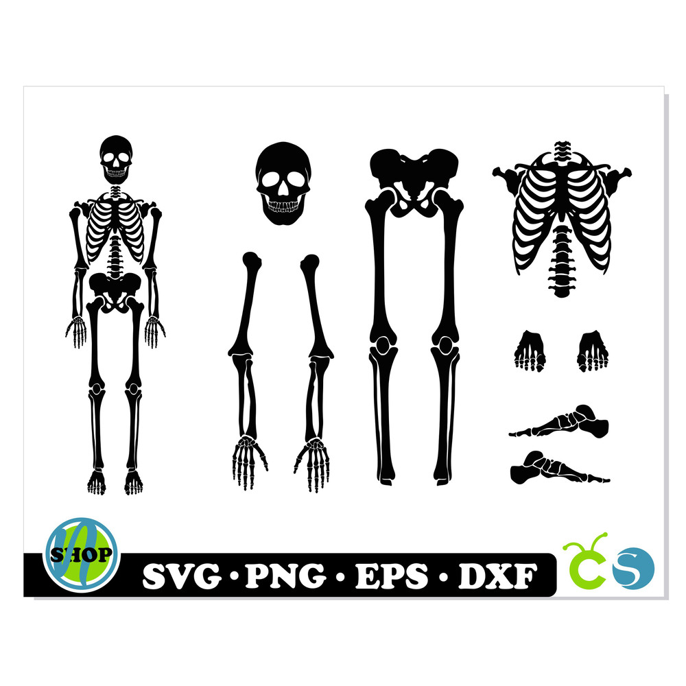 Skeleton Parts svg 1.jpg