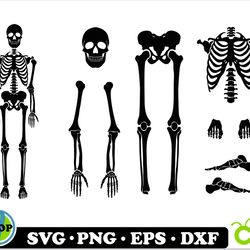 skeleton parts svg, skeleton svg, skeleton bones parts svg, halloween svg, skeleton part svg, skeleton cricut cut files