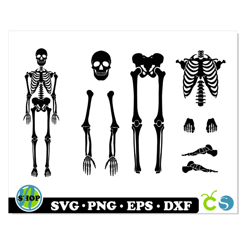 Skeleton Parts svg 1.jpg