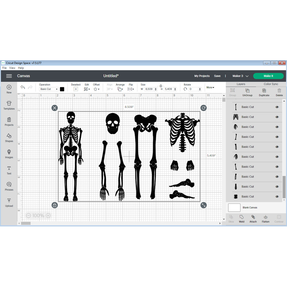 Skeleton Parts svg 2.png