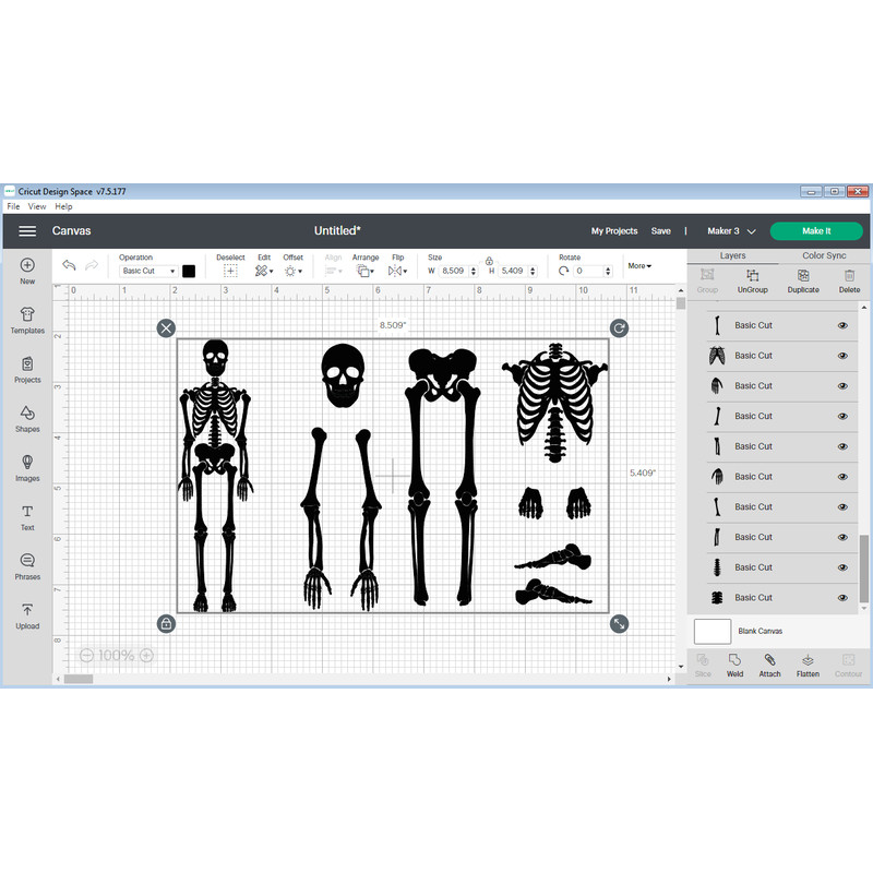 Skeleton Parts svg 2.png