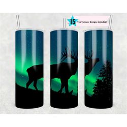 20oz skinny tumbler northern lights night sky png