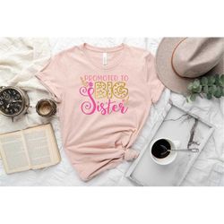 promoted to big sister shirt, big sister shirt, big sister tee, pregnancy reveal, big sis shirt, sister shirt, baby reve
