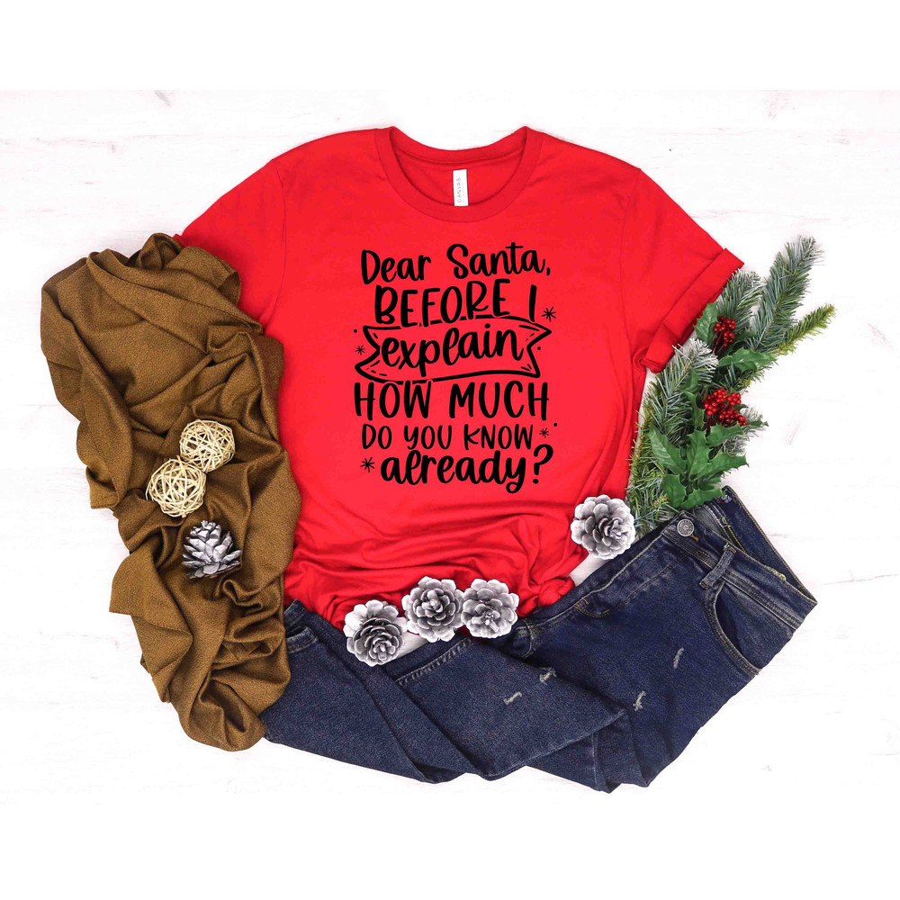 Dear Santa Shirt, Funny Christmas Shirt, Naughty Joyful Mistletoe Blessing Friends Snow Noel Shirt, Christmas Winter Shirt, Xmas Shirt - 2.jpg