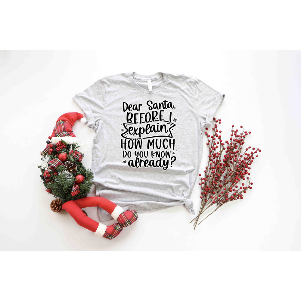 Dear Santa Shirt, Funny Christmas Shirt, Naughty Joyful Mistletoe Blessing Friends Snow Noel Shirt, Christmas Winter Shirt, Xmas Shirt - 3.jpg