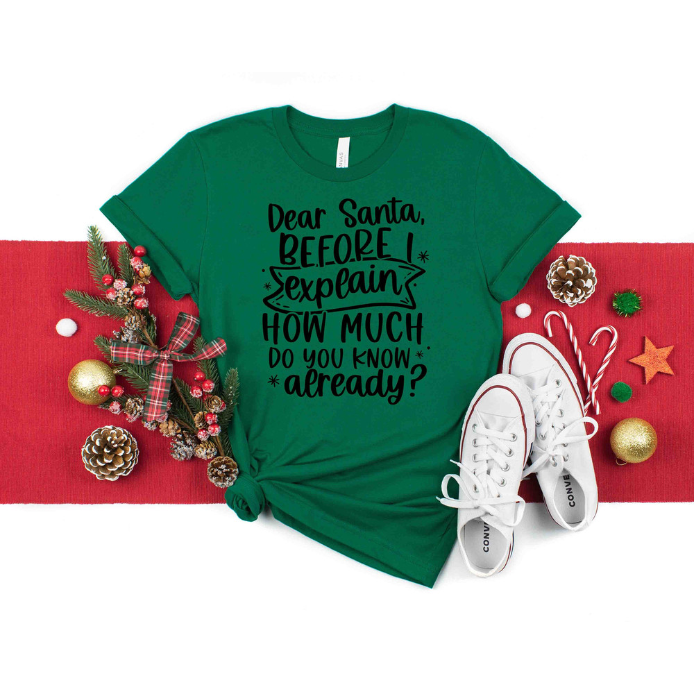 Dear Santa Shirt, Funny Christmas Shirt, Naughty Joyful Mistletoe Blessing Friends Snow Noel Shirt, Christmas Winter Shirt, Xmas Shirt - 4.jpg