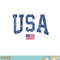 USA Shirt Women Men Kids Patriotic American Flag Distressed png, digital download copy.jpg