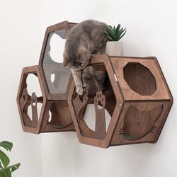 Cat Brown Wall Furniture Set, Cat Steps for Wall, Cat Hexagon Shelves, Cat Bed, Cat Shelf Bed, Gift for Cat Lover