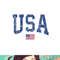 USA Shirt Women Men Kids Patriotic American Flag Distressed png, digital download copy.jpg