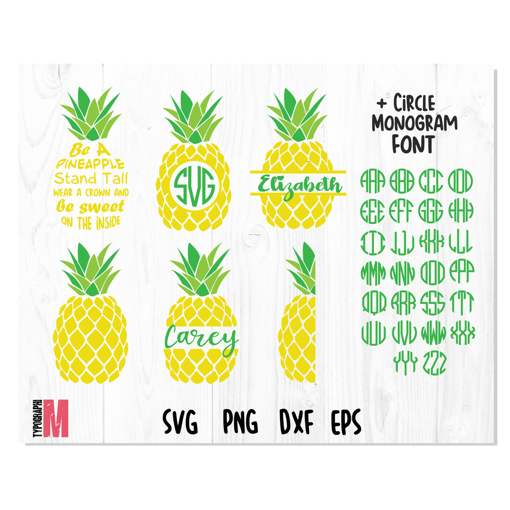 Pineapple Bundle 1.jpg