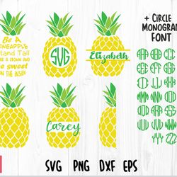 pineapple bundle svg & circle monogram font | pineapple png, pineapple svg, pineapple monogram svg cut file